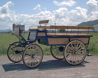 8 Passenger Wagonette haymarket Virginia