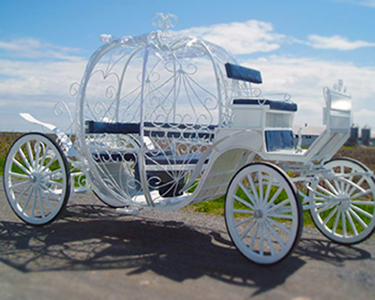 Cinderella Horse Drawn Carriage Vienna Virginia