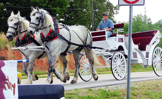 Horse Drawn Carriage Manassas