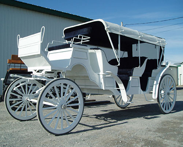 Limousine Horse Drawn Carriage Fairfax Virginia