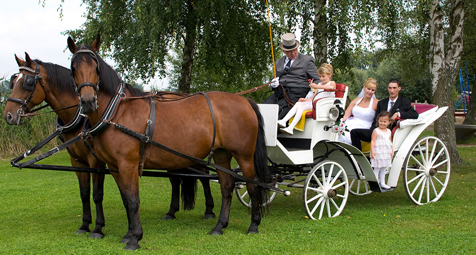 Anniversary Carriage Ride