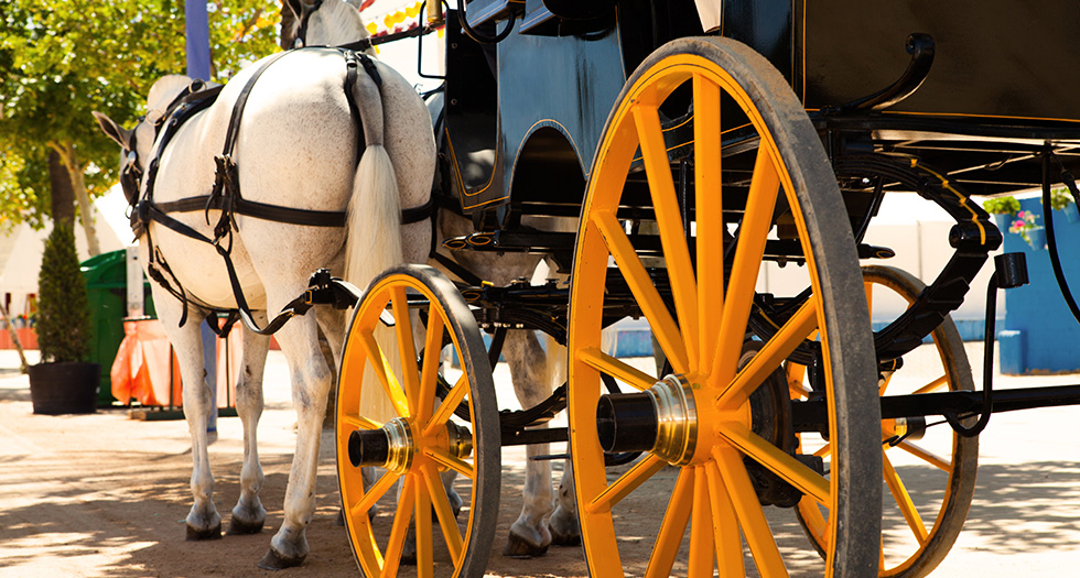 Special Event Carriage Ride