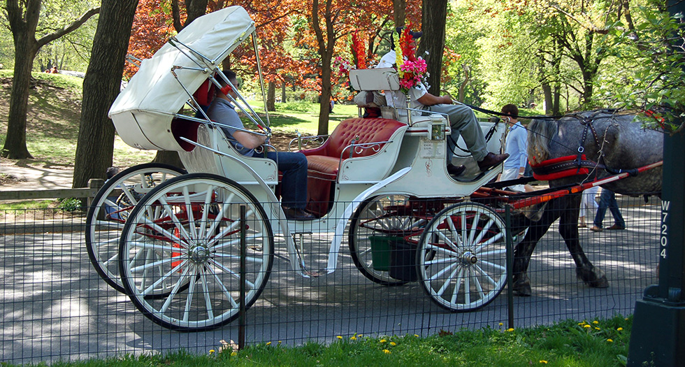 Horse Drawn Carriage Tours